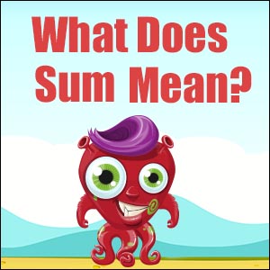 What Does Sum Mean?