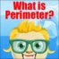 What is the Perimeter?
