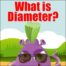 What is the diameter?